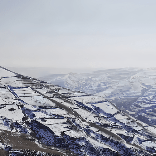 Peony Winter Management Methods Long Yeong Nursery